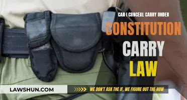 Constitutional Carry Law: Can I Conceal Carry?