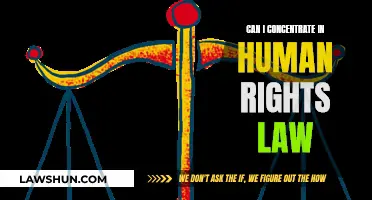 Human Rights Law: A Career Focus?