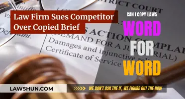 Copying Laws: Legal or Not?