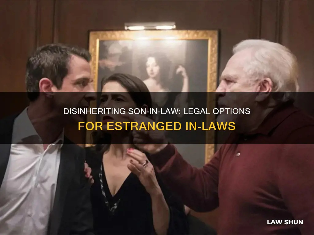 can i disinherit my son-in-law