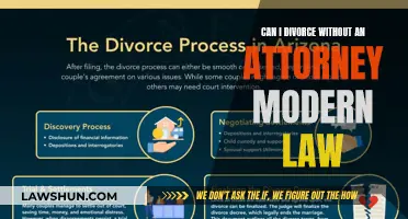 Divorce Without an Attorney: Navigating Modern Law