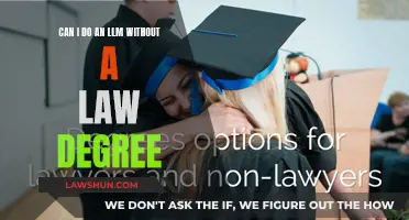 Pursuing an LLM: Do You Need a Law Degree?