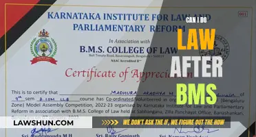 Pursuing Law After BMS: Is It Possible?
