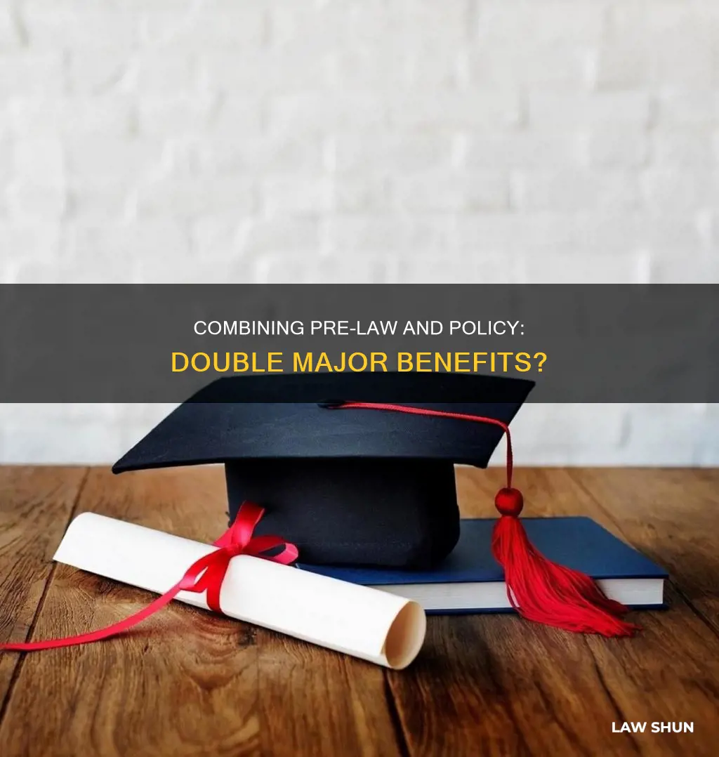 can i double major in pre-law and policy