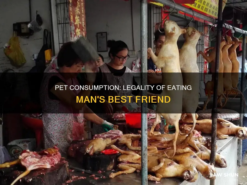 can i eat my dog under the law