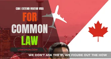 Extending Visitor Visas: Common-Law Considerations for Long-Term Stays