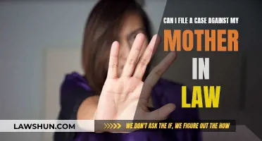 Filing a Case Against Your Mother-in-Law: Is It Possible?