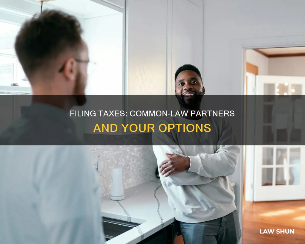 can i file my taxes without my common law partner