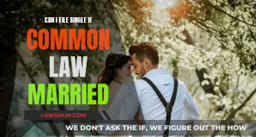 Understanding Common-Law Marriage and Tax Filing Options