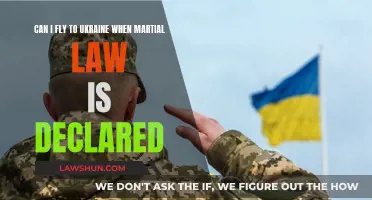 Martial Law in Ukraine: Can I Still Fly In?