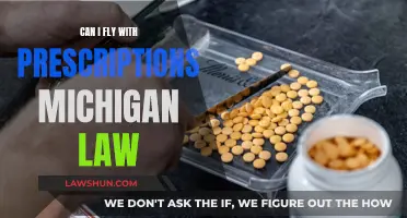 Flying with Prescriptions: Michigan Law and Your Rights