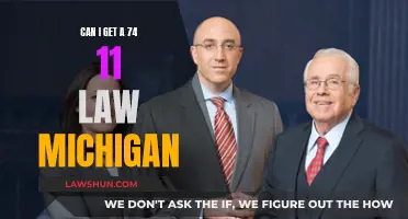How a 74-11 Law Can Impact Your Michigan Case