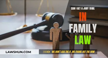 Jury Trials in Family Law: When and How?