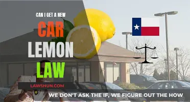 Understanding Your Rights: New Car Lemon Law