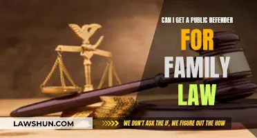 Public Defender for Family Law: When and How?