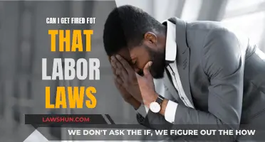 Your Rights: Labor Laws and Getting Fired