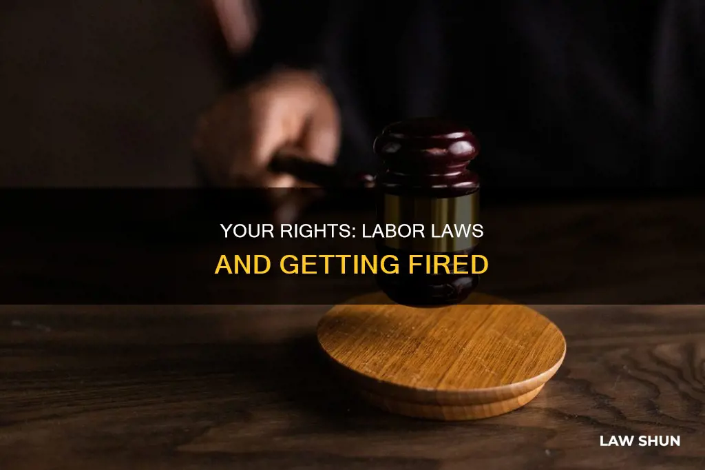 can i get fired fot that labor laws
