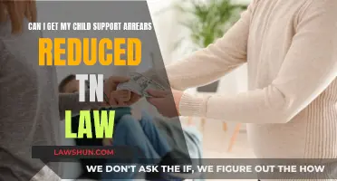 Child Support Arrears: Can They Be Reduced Under TN Law?