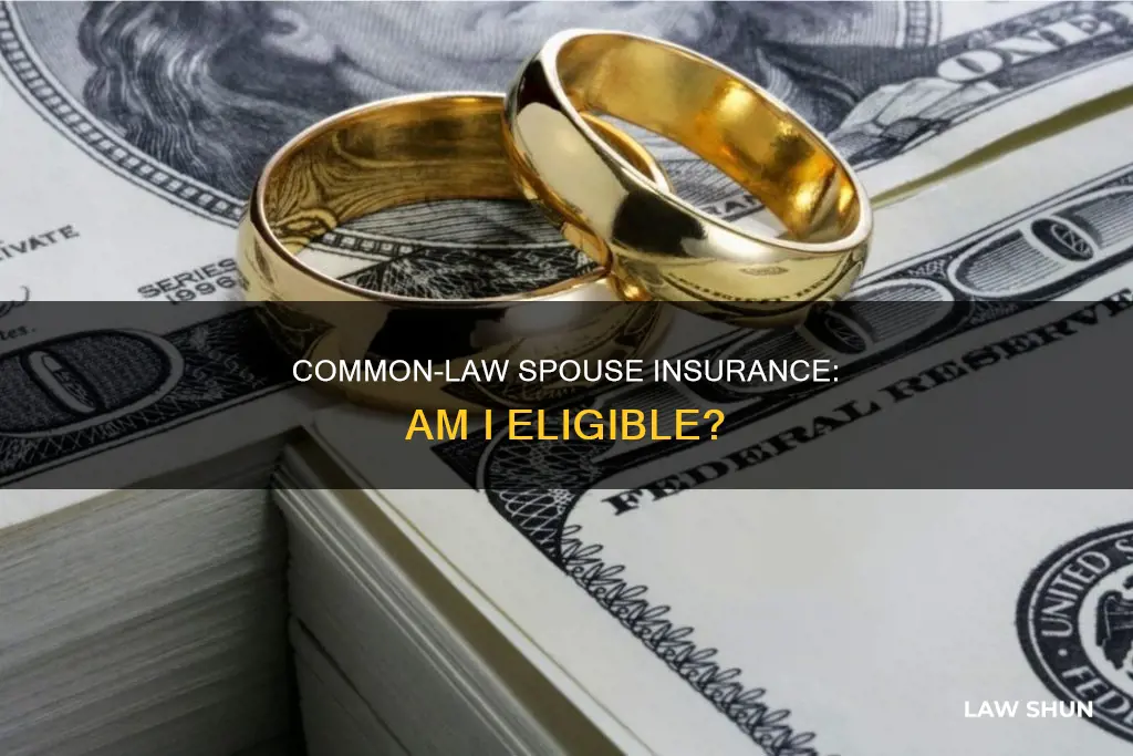 can i get on my common law spouses insurance