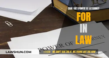 Power of Attorney: In-Laws and Legal Guardianship