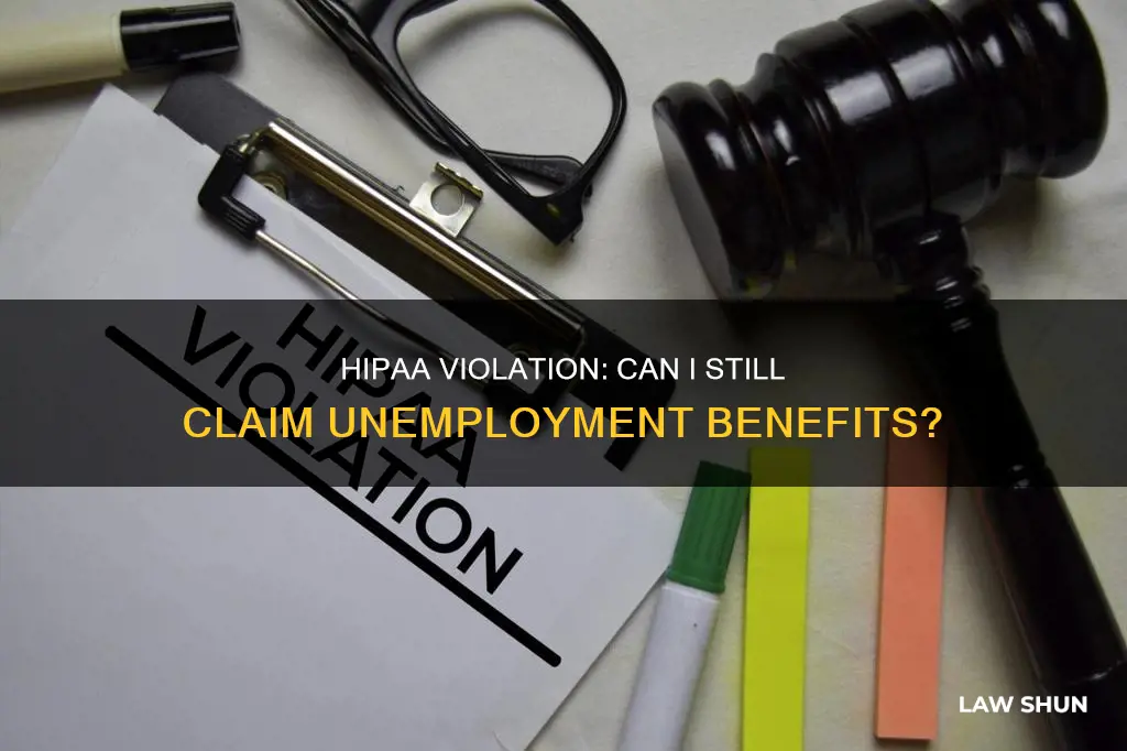 can i get unemployment if i broke hipaa laws