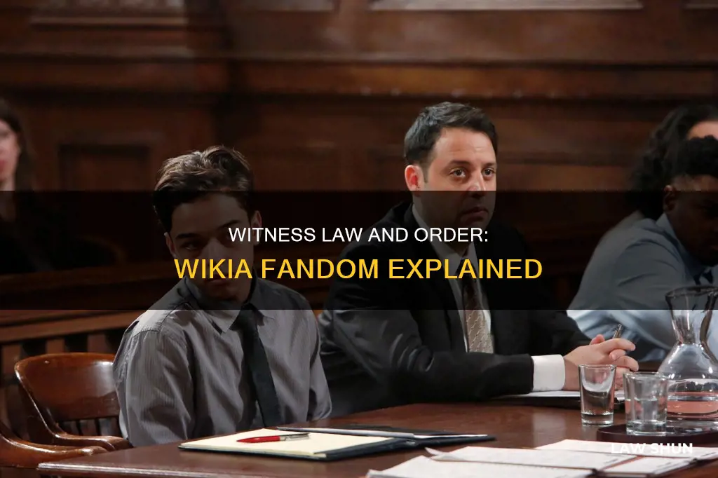can i get witness law and order wikia