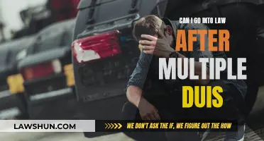 Navigating a Legal Career with a DUI Record