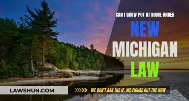 Growing Pot at Home: New Michigan Law Explained