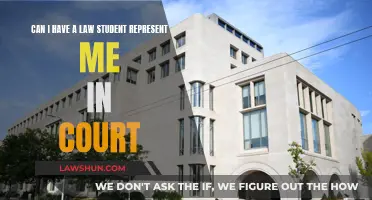 Law Student Representation: Ethical or Risky?