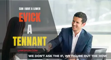 Evicting a Tenant: When Do You Need a Lawyer?
