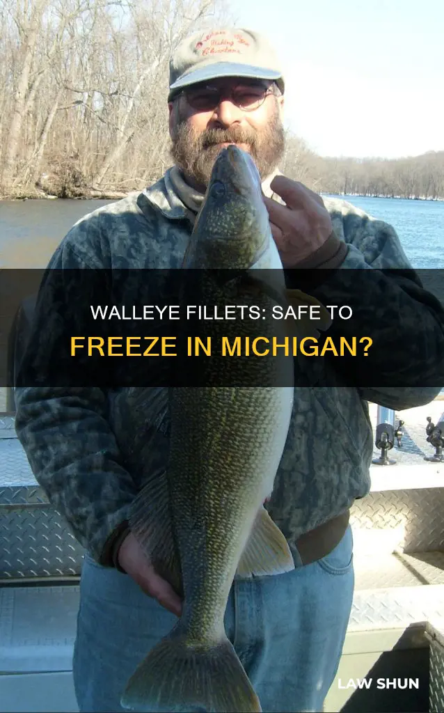 can i have walleye fillets in my freezer mi law