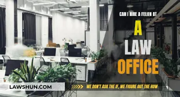 Hiring Felons in Law Offices: Exploring Legal Possibilities