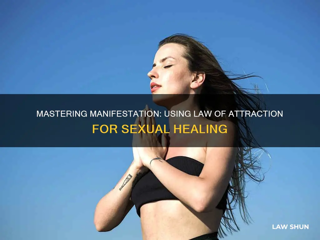 can i ise masterbation with the law of attraction
