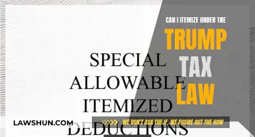 Itemizing Deductions: Trump's Tax Law Changes Explained