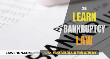 Learning Bankruptcy Law: Is It Possible?