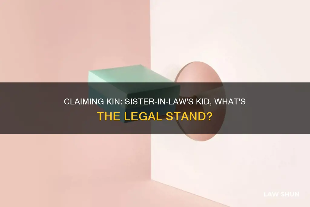 can i legally claim sister in laws kid