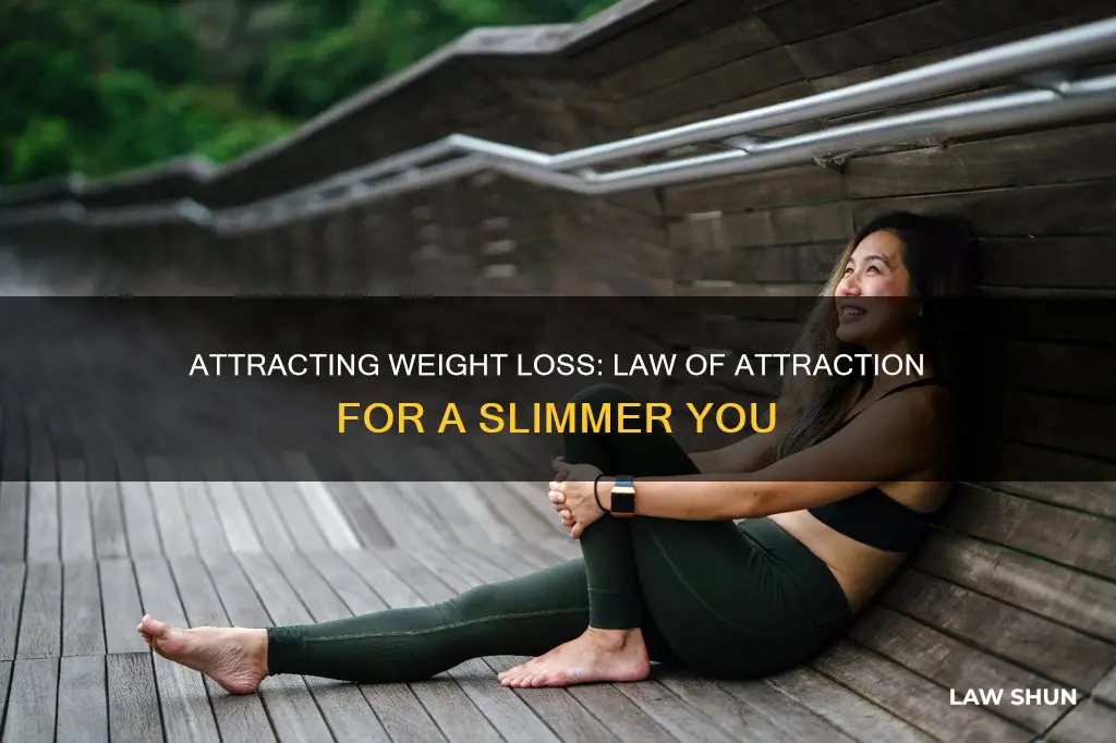 can i lose weight using the law of attraction