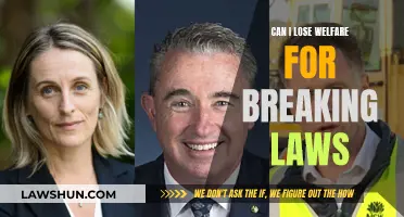 Lawbreaking and Welfare: What's the Connection?