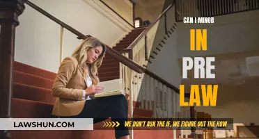 Pursuing a Pre-Law Minor: Is It Worthwhile?