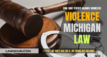 Domestic Violence Testimonies: Michigan Law and Your Rights