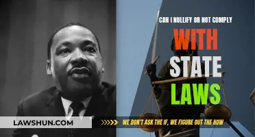 Challenging State Laws: Can You Nullify or Ignore Them?