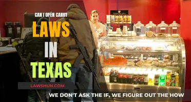 Open Carry Laws in Texas: What You Need to Know