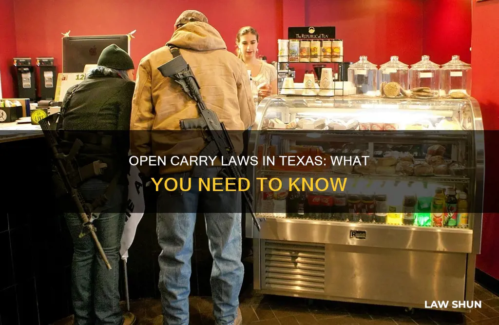 can i open carry laws in texas
