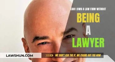 Running a Law Firm: Can Non-Lawyers Be Owners?