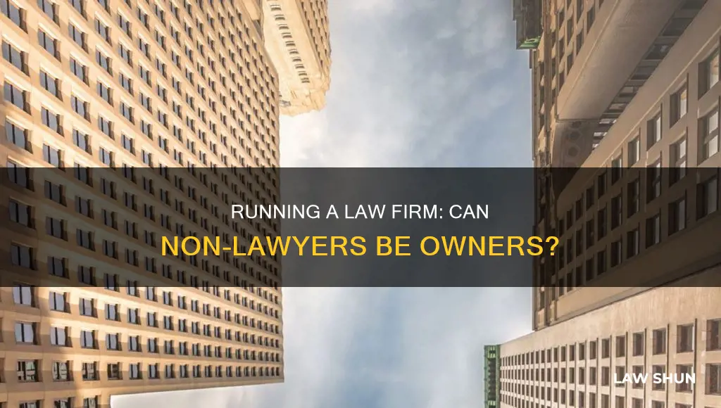 can i own a law firm without being a lawyer