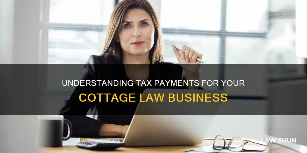 can i pay ta es on my cottage law business