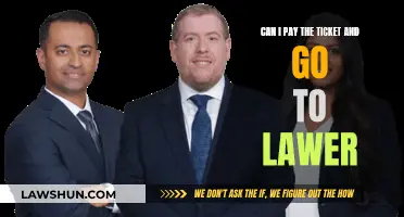 Ticket Payment: When to Consult a Lawyer?