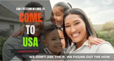 Petitioning In-Laws to the USA: Is It Possible?