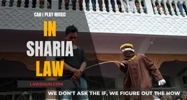 Sharia Law: Music Allowed or Prohibited?