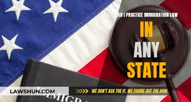 Immigration Law: State-by-State Practice